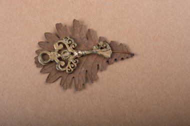 Kurumuş yaprağın üzerindeki metal anahtar