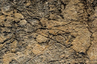Arkaplan dokusu olarak kaya ya da taş yüzeyi 