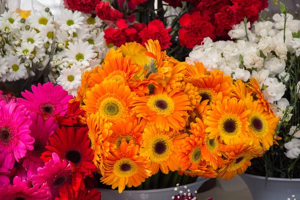 Flori colorate înflorite în vază — Fotografie, imagine de stoc