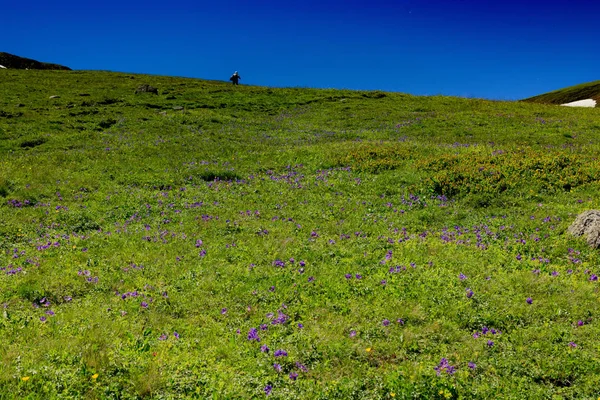 Vista das montanhas nas terras altas da Turquia — Fotografia de Stock