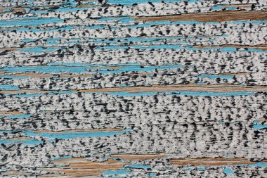 Doğal desenli ahşap doku