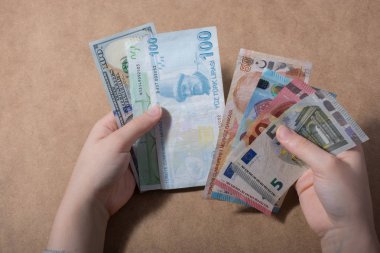 El tutan Amerikan Doları ve Euro banknotlar 