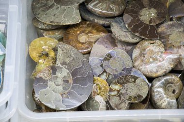 Doğal mineral değerli taşlar kümesi 