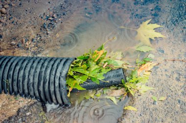 Yaprakları çiçek doğa arka plan bitki olarak