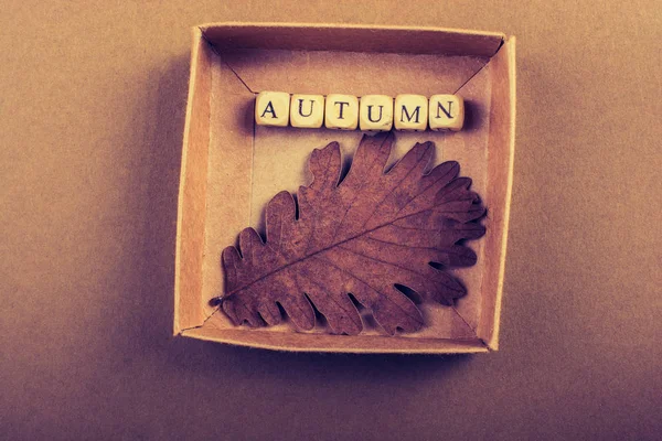 Automne automne composition ou concept et mot automne — Photo