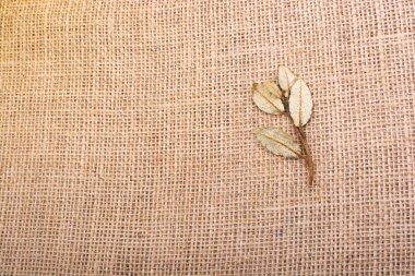 Keten tuval üzerine yeşil yaprakları kuru