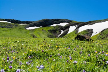 Türkiye 'nin Artvin dağlarındaki dağların manzarası