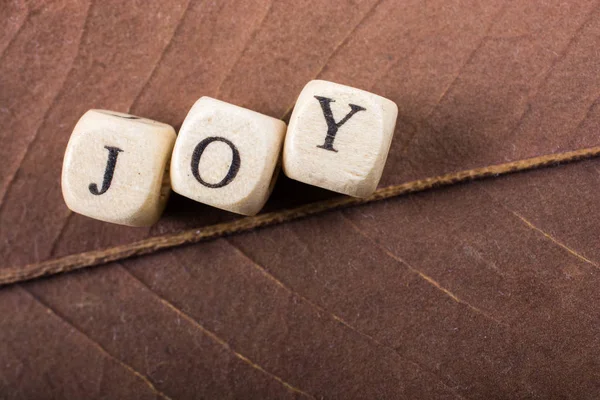 Text Message wording of the word JOY — Stock Photo, Image