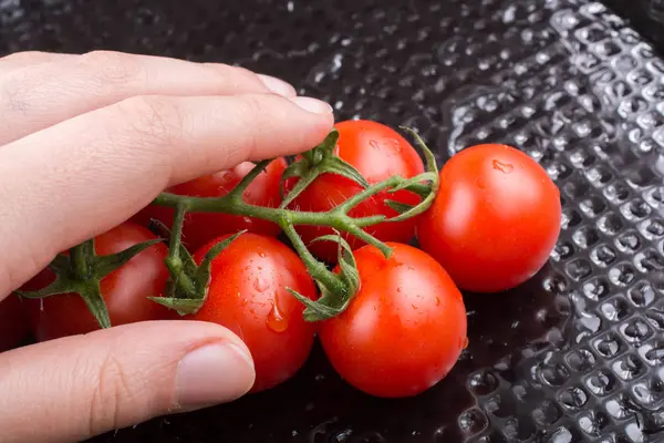 손에 익은 빨간 체리 토마토의 무리 — 스톡 사진