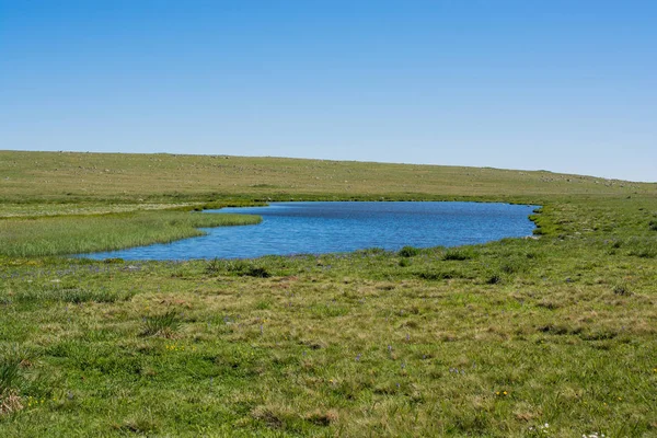 Lago Highland em fundo natural verde em Artvin — Fotografia de Stock