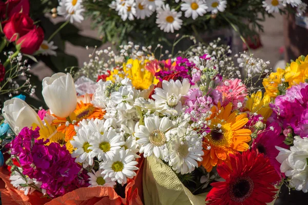Πολύχρωμο ανθισμένα λουλούδια σε βάζο — Φωτογραφία Αρχείου