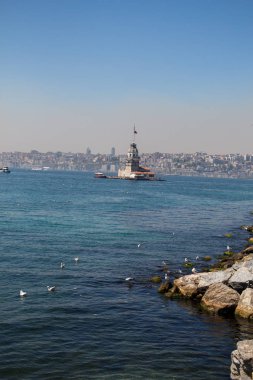 Martılar ve genç kızları Kulesi Istanbul'da
