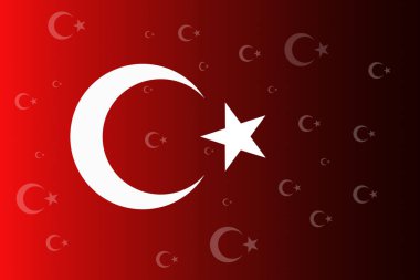 Kırmızı zemin üzerinde beyaz yıldız ve ay bulunan Türk ulusal bayrağı
