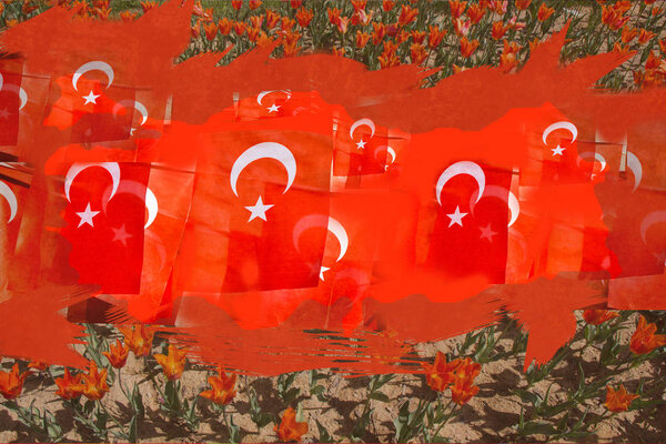 Турецкий национальный флаг с белой звездой и луной и тюльпанами
