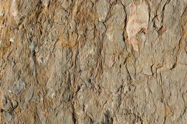 背景の質感としての岩や石の表面 — ストック写真
