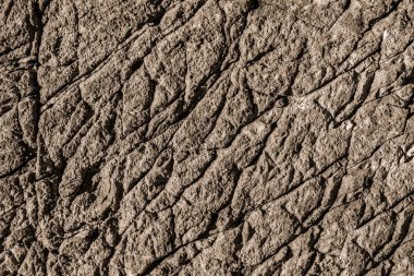 Arkaplan dokusu olarak kaya ya da taş yüzeyi 