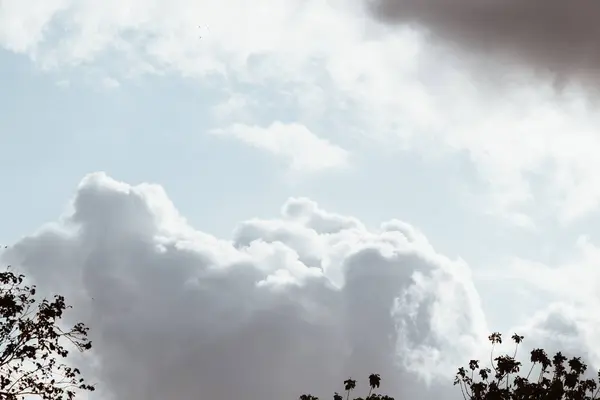 Nuvens de cor branca cobrem o céu azul — Fotografia de Stock