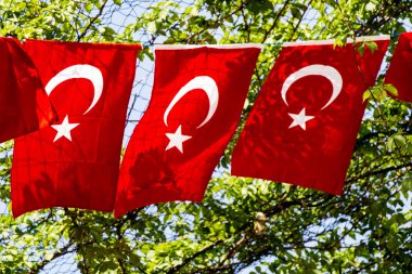 Türk ulusal bayrak görünümünde