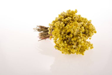 Bir not defteri çiçek