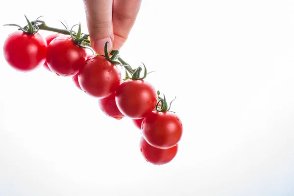 Kilka czerwony dojrzałe pomidory cherry w dłoni — Zdjęcie stockowe