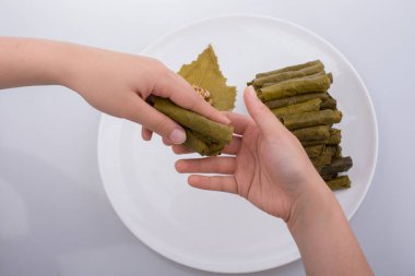 Türk tarzı dolma yaprak 
