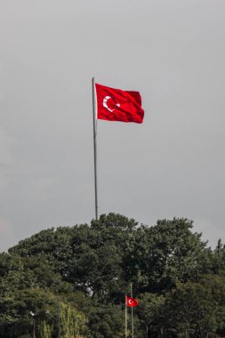 Türk ulusal bayrağı direğe asılı 