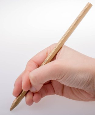 Altın renkli kalem elinde tutan el