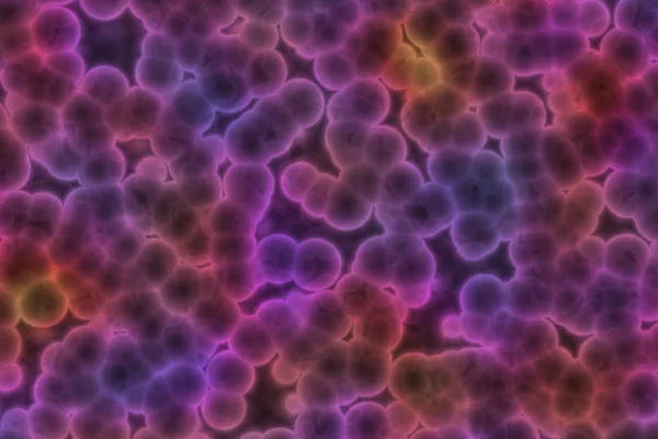 Shape of bacterial cell: cocci, bacilli, spirilla bacteria — Stock Photo, Image