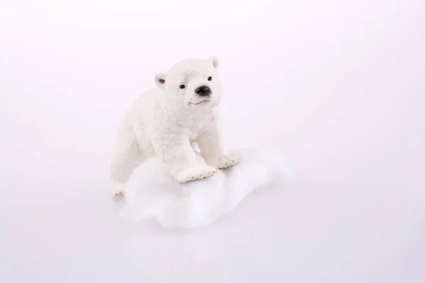 Oso polar sobre hielo — Foto de Stock