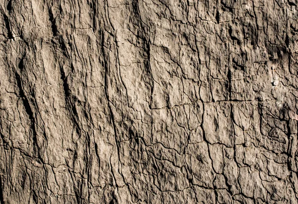 Rock or Stone  surface as  background texture — Stock Photo, Image
