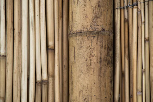 Bamboo sticks in stacks