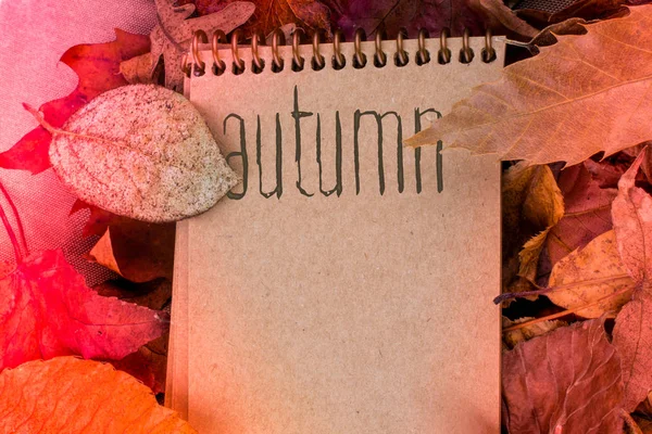 Otwórz pusty Notatnik z jesienną etykietą w suchych liściach — Zdjęcie stockowe