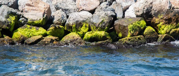 Rochers moussus sur la côte de la mer — Photo