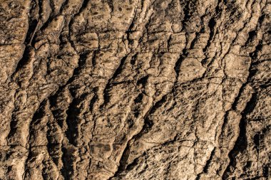 Kaya veya taş olarak arka plan doku doğa 