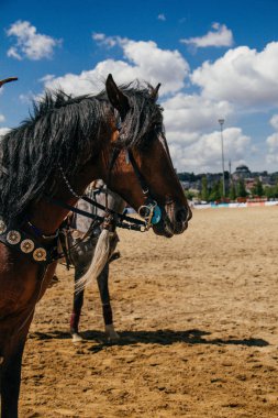  ile kısmi koşum takımı