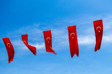 Gökyüzünde beyaz yıldız ve ay olan Türk ulusal bayrakları