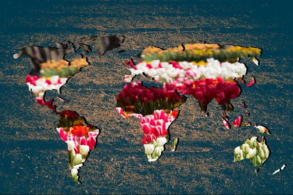 Carte du monde approximativement esquissée avec remplissage de jardin tulipe — Photo