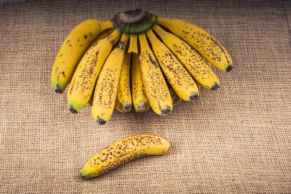 O grămadă de banane pistrui galben — Fotografie, imagine de stoc