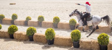 Etnik giysilerini ata binme Süvari  