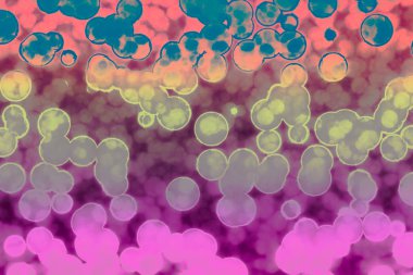 Bakteri hücre şekli: cocci, basiller, spirillum bakteri 