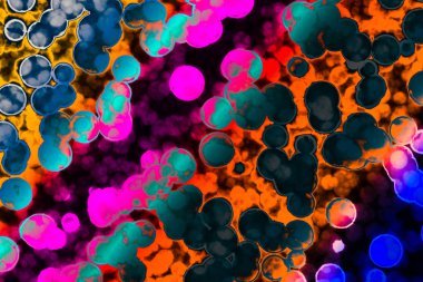 Bakteri hücre şekli: cocci, basiller, spirillum bakteri 