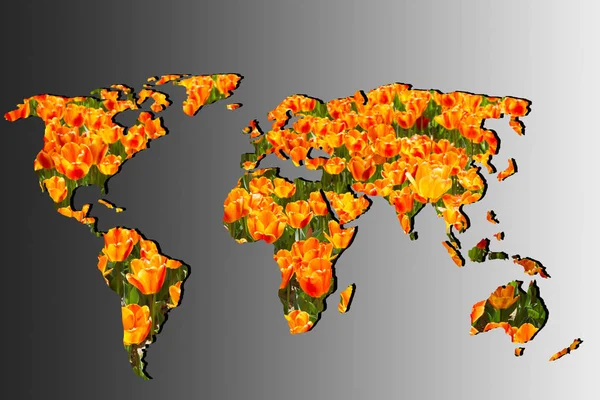 Roughly outlined world map with with tulip garden filling