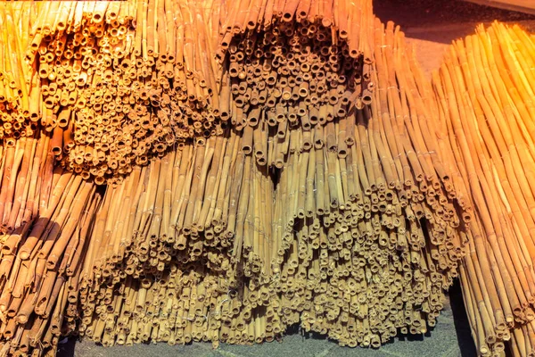 Bambusové tyčinky v zásobnících — Stock fotografie