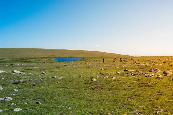Turystów z Plecaki i kijki trekingowe, chodzenie w Artvin wzgórza — Zdjęcie stockowe