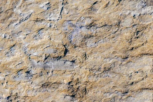 Rock eller sten yta som bakgrund struktur — Stockfoto
