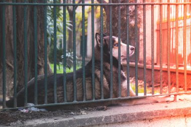 Beyaz ve siyah kalp şeklinde simgeler tutan el