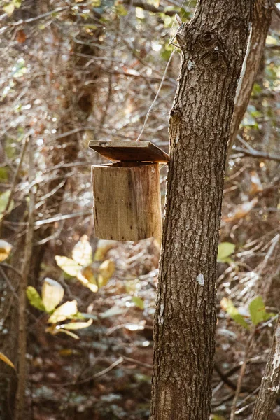 Aves caseras de madera colgando de un árbol — Foto de Stock