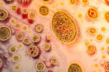 Renkli arka plan üzerinde hava kabarcıklar makro çekim