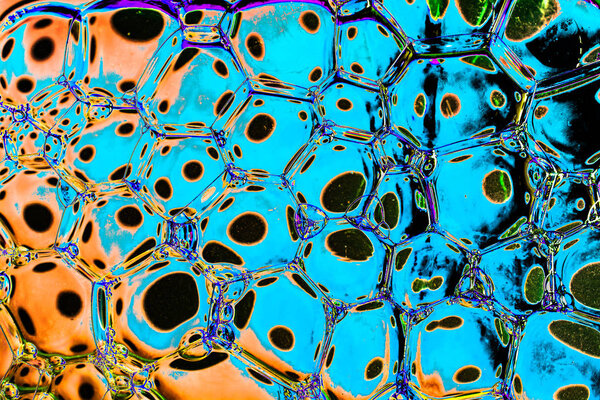 Macro shot of water oil emulsion over colored background