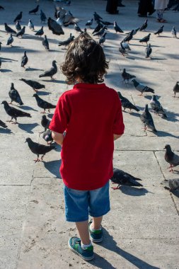 Çocuk beslemek için güvercinlerin sürüleri yakın yürüyor